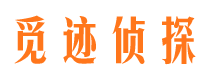 临安调查事务所